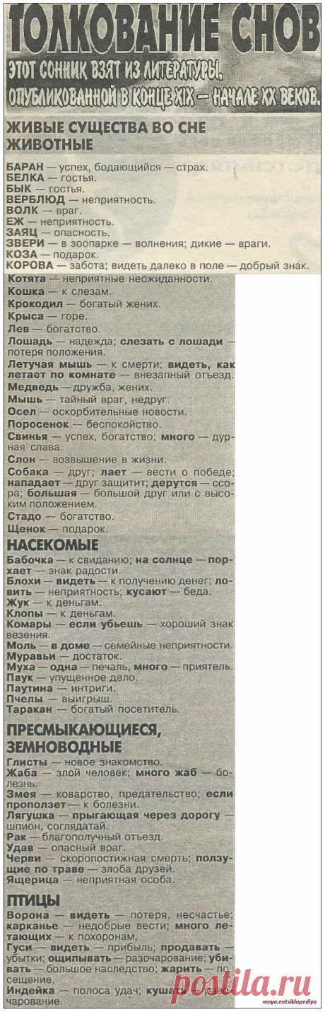 Если снятся живые существа