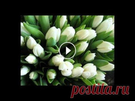 открытки плейкаст с днем рождения открытки плейкаст с днем рождения Как красиво поздравить своих близких с праздником? открытки с днем рождения сына, открытки с днем рождения дочери, о...