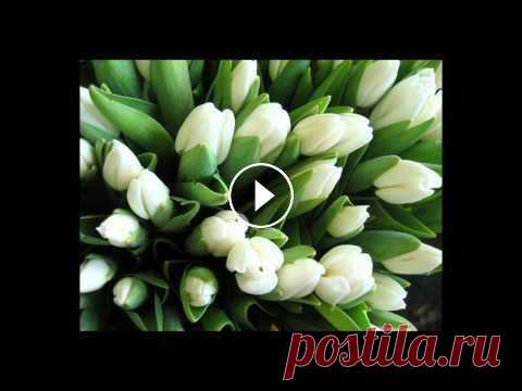 открытки плейкаст с днем рождения открытки плейкаст с днем рождения Как красиво поздравить своих близких с праздником? открытки с днем рождения сына, открытки с днем рождения дочери, о...