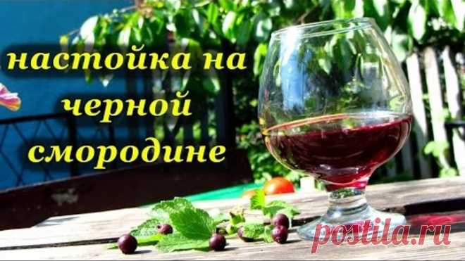 Рецепт настойки из замороженной черной смородины от Алкофана