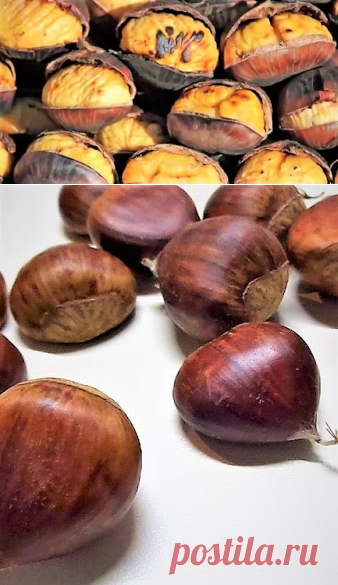 Easy Recipe: Roasted chestnuts at home italian style.
