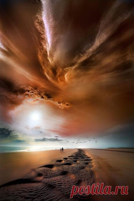 i (526×787)