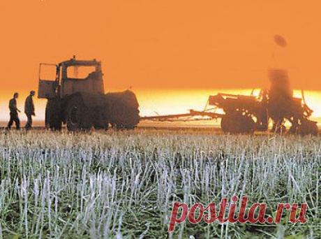 Крым оставили без урожая, отключив воду