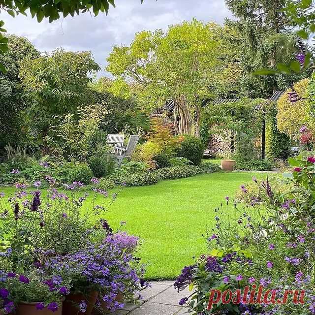 Photo by Gardening Magics on January 02, 2022. May be an image of flower, nature and tree.