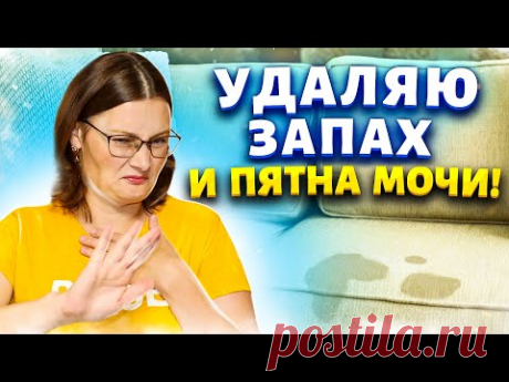 Век живи - век удивляйся! Избавиться от запаха животных, мочи, старых людей. Очистить светлый диван.