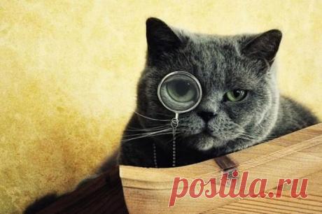 Удивительно, но это факт! Продолжение / Всё самое лучшее из интернета