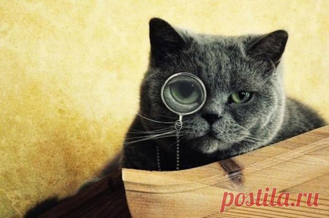 Удивительно, но это факт! Продолжение / Всё самое лучшее из интернета