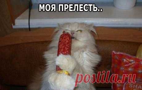 • Анекдоты
