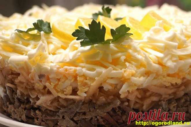 Салаты с печенью. Подборка рецептов вкусных салатов