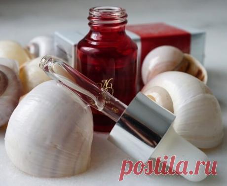 Муцин улиток – секретный ингредиент «улиточных кремов»