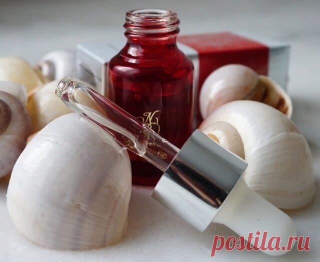 Муцин улиток – секретный ингредиент «улиточных кремов»