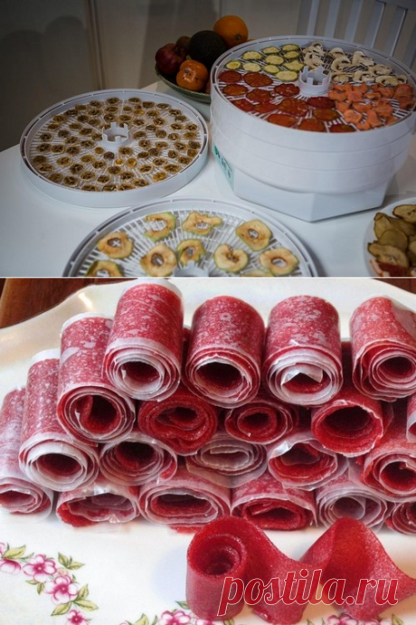 Топ-10 вкусностей которые можно приготовить в электросушилке