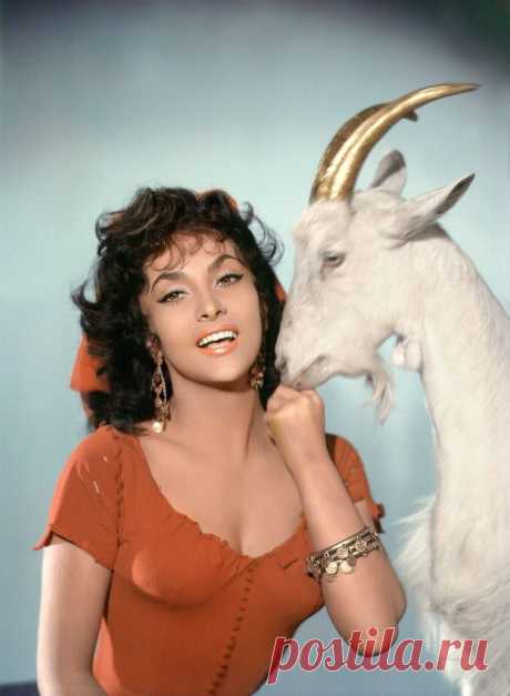 Записки скучного человека - The special edition: Gina Lollobrigida