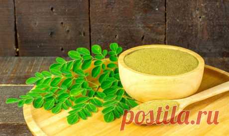 Моринга - что это, ее #польза и как употреблять 

Чем же интересна #моринга?

Моринга на слуху давно уже у интересующихся здоровым образом жизни. 
#О_пользе мориги и ее использовании для укрепления здоровья пойдет речь в данной статьи