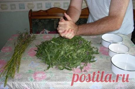 Заготовка Иван-чая. Личный опыт из поселения
Где-то прочитал информацию, что в 19 веке Копорский чай или Иван-чай поставлялся русскими купцами на экспорт в Европу в огромных количествах и очень высоко в Европе ценился. Да и наши пра-прадедушки и прабабушки сидя за столом с самоваром, наверняка пили не черный индийский, а этот замечательный, исконно русский чай. Захотелось возродить традицию приготовления Копорского чая, и вот, решив попробовать приготовить чай своими рукам...