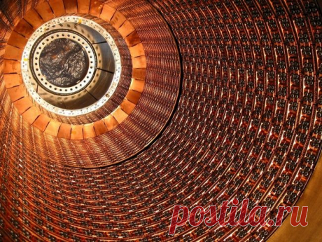 О чем шутят ученые