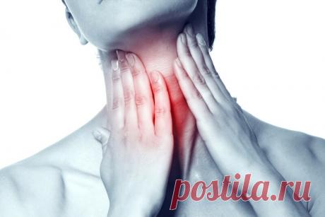 Секрет щитовидной железы или хотите похудеть? — Диеты со всего света