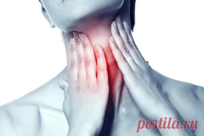 Секрет щитовидной железы или хотите похудеть? — Диеты со всего света