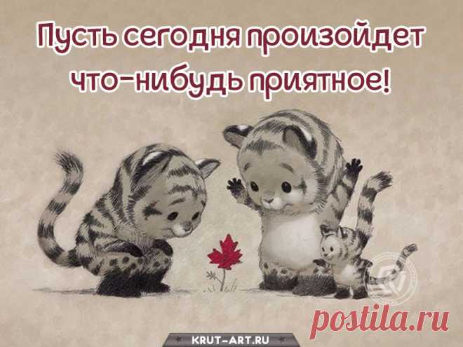 Любви, улыбок, вдохновения,
Ещё хорошего настроения.
Я тебе несомненно желаю,
Лучи солнца тебе посылаю!