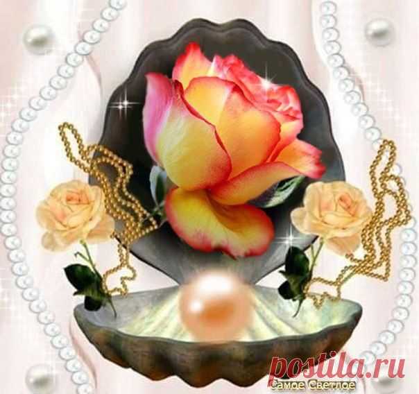 ╭დ╯СВЕТ ДУШИ╭დ╯