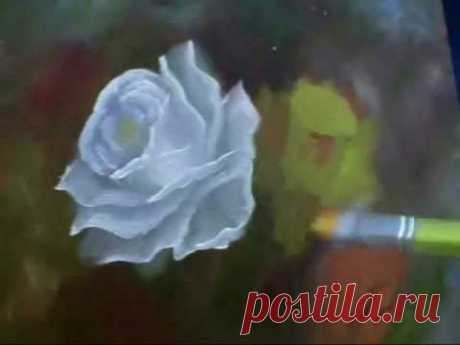 PINTANDO ROSA AULAS COM MANECO ARAÚJO parte 1 e 2