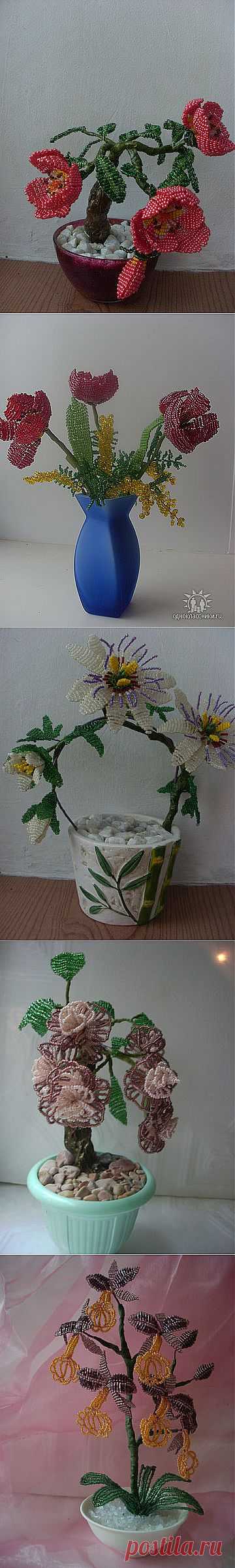 Мой " Волшебный сад" | ЖЕНСКИЙ МИР