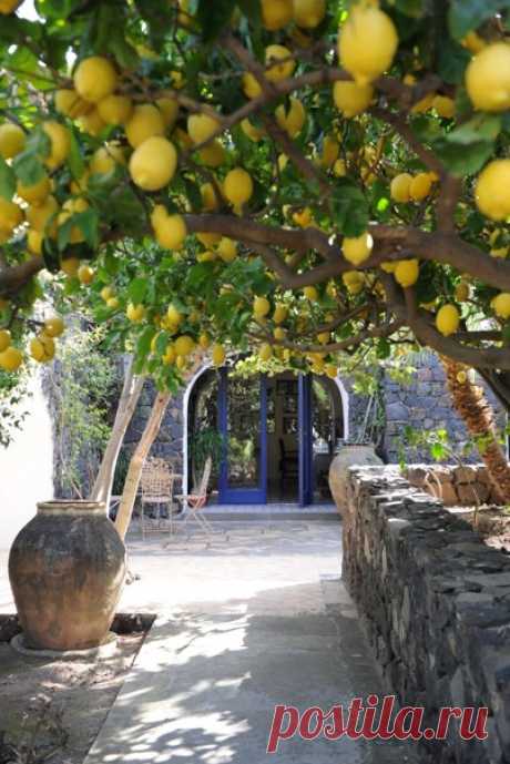 Ещё одно прекрасное утро стучится в Ваш дом! 

Хорошего дня и солнечного настроения!