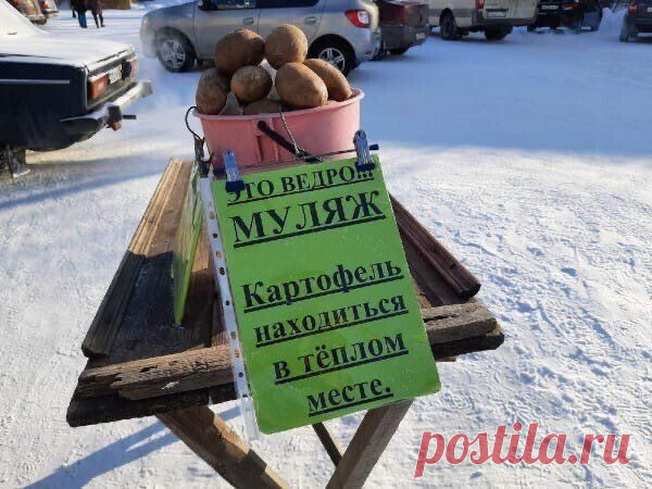 Странные и смешные объявления - 10 фото - Поздравления.тк - Поздравления и пожелания в стихах