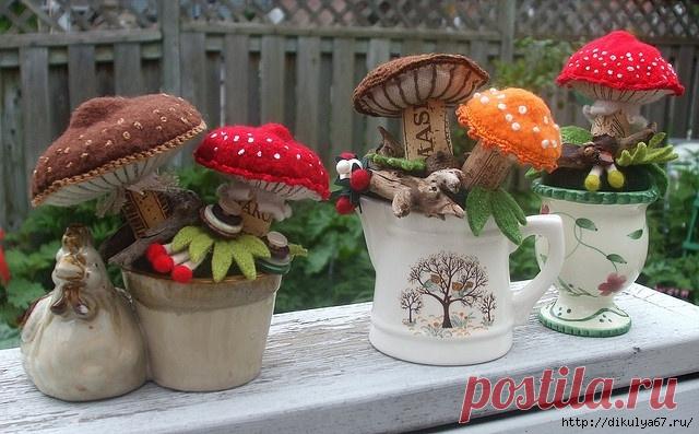 Игольницы. Новые находки...