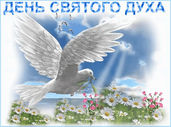 Духов День настал сегодня,
Это значит лишь одно —
Отдыхает вся природа,
И пахать запрещено. Открытки на Духов день!