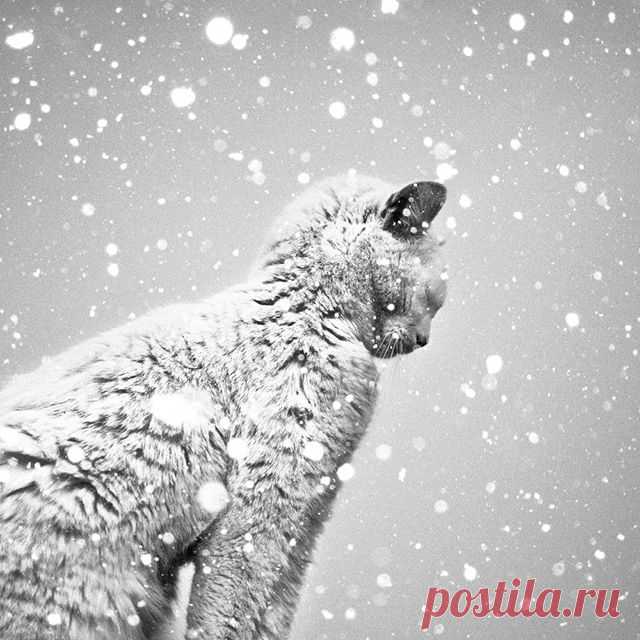 Только зимой можно… Позитива пост. | ДОСТОЙНАЯ ЖИЗНЬ НА ПЕНСИИ