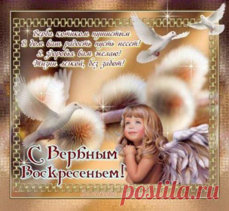 (53) Одноклассники