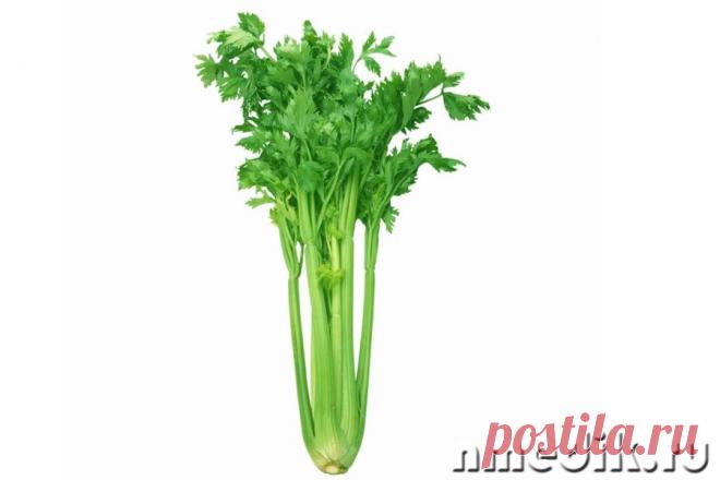 Метеоризм, запор, понос - Лечение пряностями . | Познавательный сайт ,,1000 мелочей"