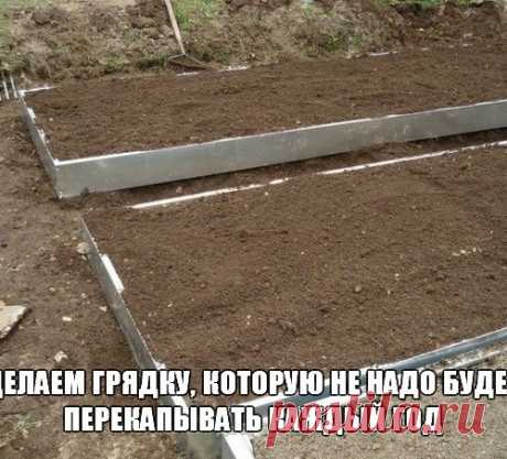 Делаем грядку, которую не надо будет перекапывать каждый год