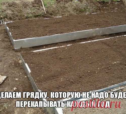 Делаем грядку, которую не надо будет перекапывать каждый год
