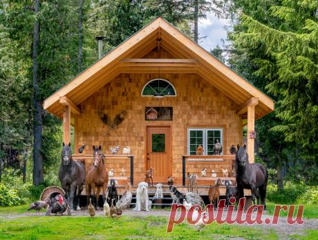 Гламурные звери на ферме