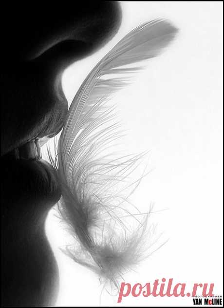 Dream a little dream