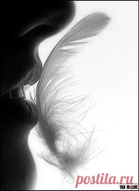 Dream a little dream
