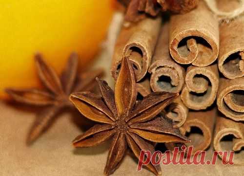 Корица к яблочному сезону — польза или вред?