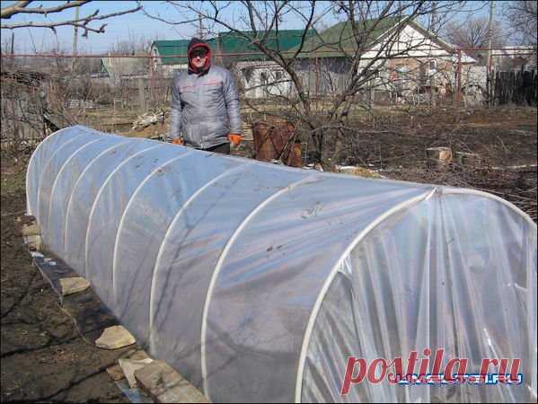 Парник из пластиковых труб