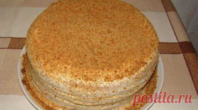 Вкусный и быстрый сметанник: Готовится мгновенно - Калейдоскоп событий
