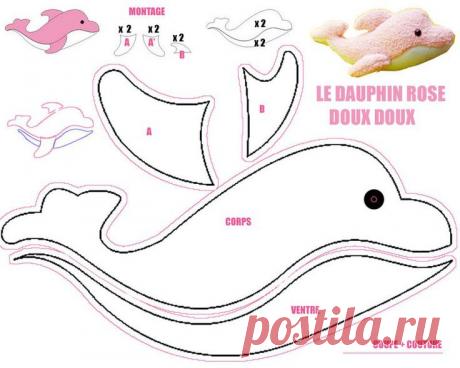dolphin | pattern