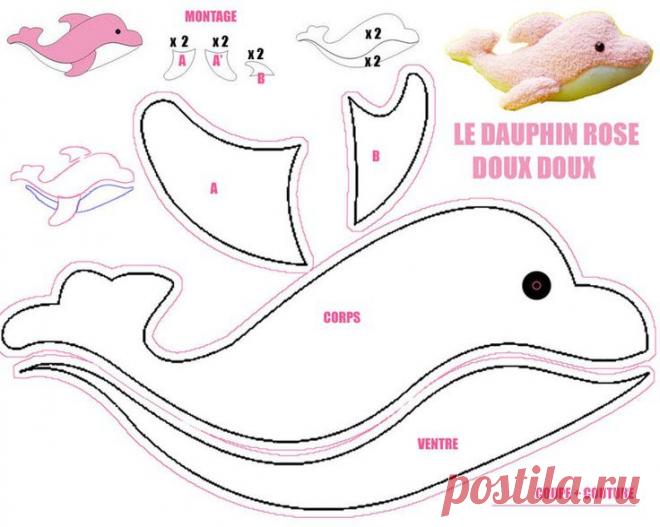 dolphin | pattern