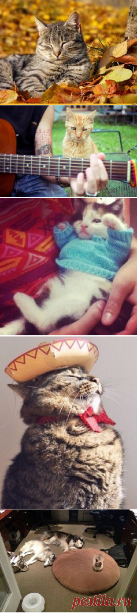 (47) Одноклассники