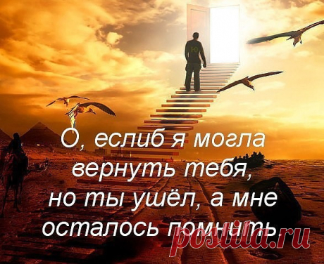 (5) Одноклассники