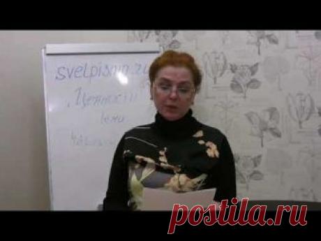 Беседы с Верой Пророковой - Каталог статей - Светлые письма