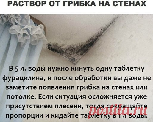 Борьба с грибком на стенах – еще одна тяжкая проблема в ремонте, но после обработки стен таким веществом, вы забудете, как выглядит грибок. Не забывайте проветривать свою квартиру во избежание подобных случаев. В 5 л. воды нужно кинуть одну таблетку фурацилина, и после обработки вы даже не заметите появления грибка на стенах или потолке. Если ситуация осложняется уже присутствием плесени, тогда сокращайте пропорции и кидайте таблетку в 1 л воды.