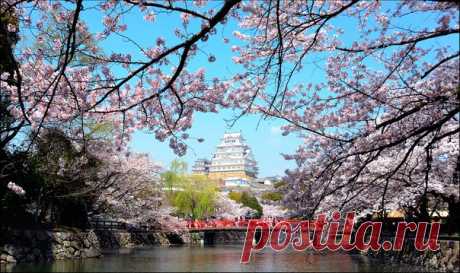 Замок Химэдзи в одноименном городе на острове Хонсю. Автор фото – Alexey Kruglov, участник фотоконкурса «Моя Япония» ➡bit.ly/MyJapanContest Присоединяйтесь к Алексею и другим фотографам: делитесь с нами лучшими снимками «вашей» Японии и поборитесь за попадание на выставку и суперприз – поездку на двоих в Страну восходящего солнца!