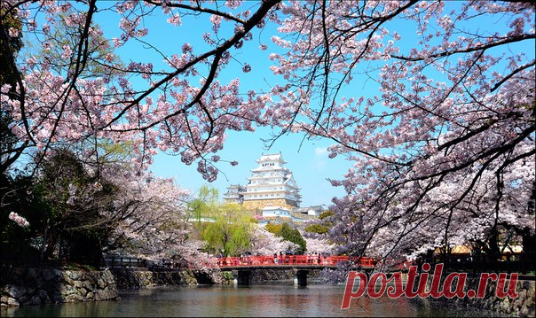 Замок Химэдзи в одноименном городе на острове Хонсю. Автор фото – Alexey Kruglov, участник фотоконкурса «Моя Япония» ➡bit.ly/MyJapanContest Присоединяйтесь к Алексею и другим фотографам: делитесь с нами лучшими снимками «вашей» Японии и поборитесь за попадание на выставку и суперприз – поездку на двоих в Страну восходящего солнца!