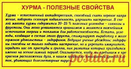 Хурма - полезные свойства